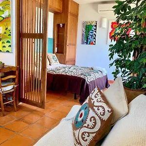 https://studio-with-amazing-views-in-mojacar.es-andalucia.com